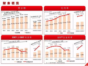 高鑫零售2024上半年業績解讀 營收穩健增長，日用百貨銷售成亮點